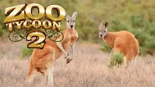 Zoo Tycoon 2: Red Kangaroo Exhibit Speed Build