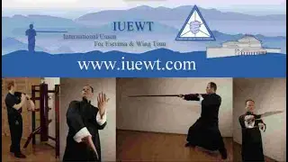 Wing Tsun basic work on body structure with Pak Sao drill &ndash; Senior Hans (74) IUEWT