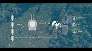 Industrial IoT Solution for Smart Agriculture | Seeed SenseCAP