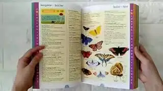 Usborne Junior Illustrated English Dictionary. Paperback.