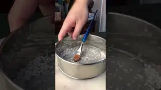 Fish Scale Paint