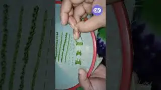 🎀 TitleBeautiful Bow Stitch Hand Embroidery | Easy & Elegant Stitch for Beginners #trending #shorts