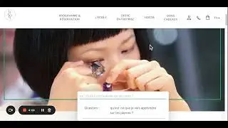FR - Widget Demo Culture