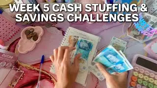Week 5 Cash Stuffing Reset | Weekly Savings & Budget Update 🏦