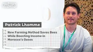 New Farming Method Saves Bees While Boosting Income in Morocco&rsquo;s Oases