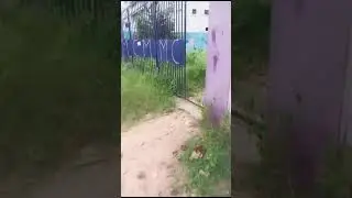 നമുക്കൊന്ന് പാർക്ക്‌ വരെ പോയാലോ