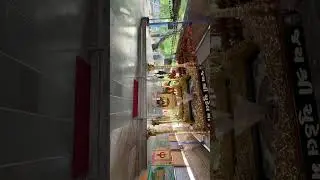 Exploring the Mysterious Chudel Mata Mandir | Hidden Temple Near Patan, Gujarat | Faceless Vlogger
