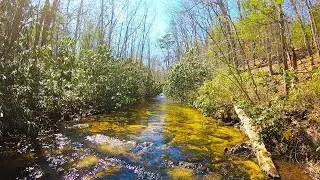 Small Stream Trout BEAUTIES w/ Single Barbless Hook Spinners