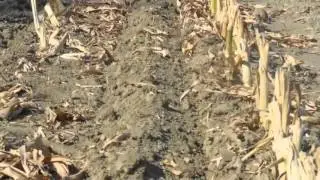 Strip Till STRIP HAWK Stagione 2012