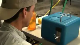 Wire Tagging Hatchery-Raised Largemouth Bass