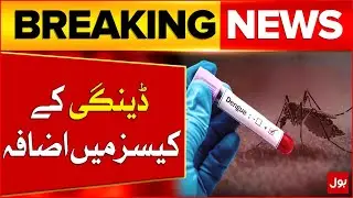 Dengue Cases In Karachi | Dengue Virus Latest Updates | Breaking News