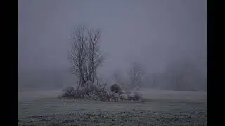 Elbwiesen Sachsen-Anhalt Fotoserie