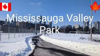 Parks in Canada - Mississauga Valley Park in Winters(Feb 2025)