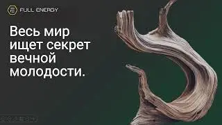 Полная презентация Full Energy