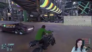 I Do All My Own Stunts 