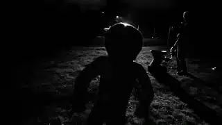 A Spaceman Came Travelling