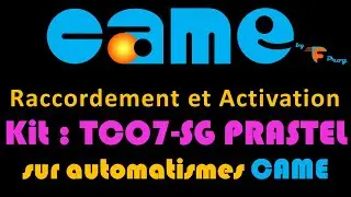 Kit pont radio TCO7-SG PRASTEL sur Automatismes CAME : Installation, R&eacute;glages et Appairage Complet