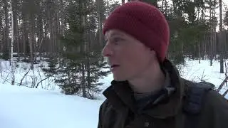 Metson soidin &ndash; riistan huomioiva mets&auml;talous