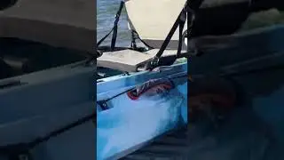 Vibe seaghost kayak ready for the water!🎣🎣
