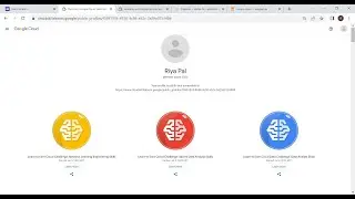 Learn to Earn Vertex AI Lab Issues Solved!!!