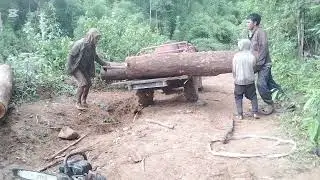 16 ວີທີເອົາໄມ້ໃຫ່ຍຂື້ນລົດ
