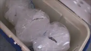 West National Brewing   Recirculating Ice Bath Wort Chiller