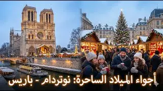 باريس تتلألأ 🎄 أجواء الميلاد من نوتردام ✨ | Profile News