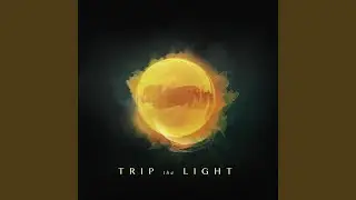 Trip the Light