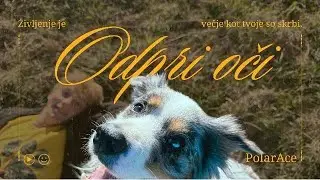 Odpri oči - PolarAce