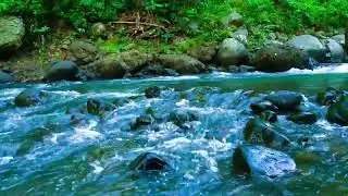 3 Hours of Tranquil Flowing Water Sounds || Pure River Sound