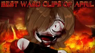 BEST wasd clips of APRIL