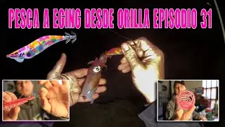 PESCA DEL CALAMAR DESDE ORILLA EPISODIO 31