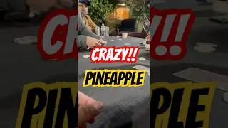 Crazy PINEAPPLE‼️ #poker #shorts