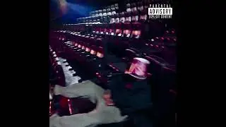 zemaru - Polarizado