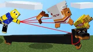 30 Meter Dackel! (Nudel Hund, Chips Hund, Streuner und mehr)
