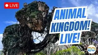 🔴LIVE- A Night at Animal Kingdom! - Walt Disney World Live Stream - 1/22/26