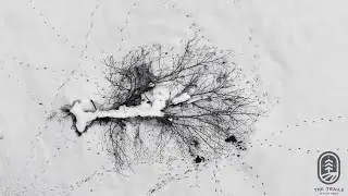 WINTER RESILIENCE MEDITATION