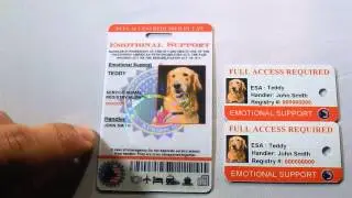 Holographic Emotional Support Dog ID Review By: XpressID