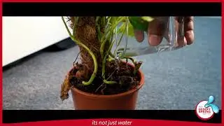 Join the Save Water Campaign with My Desert Spring Pure Drinking Water | #water2me | World Water Day