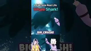 Whale Shark vs Vedal at the WORLD'S LARGEST Aquarium?