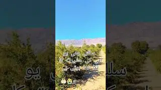 Iska Malik #Allah hai Islamic video life #Scribe viral #viral hashtag #viral video #duet #allah🤲🏻😭🕋
