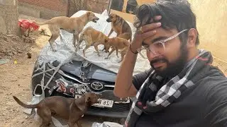हो गया काण्ड New Cover and Paint Damage 😭 | Lakhan Automotive |
