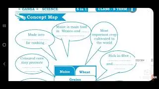 5th Science EM Term 1 Lesson plan