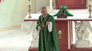 Father Mark Beard's Homily - 