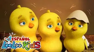🐥 Los Pollitos Dicen Pío Pío - @LooLooKidsEspanol  🎶 Canción Infantil Clásica para Niños Felices