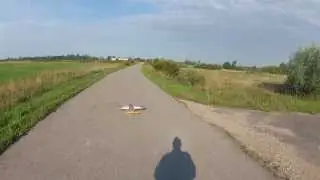Flight YAK-54