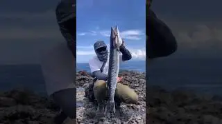 UL fishing big fish 🔥 #shorejigging #rockfishing #fishing #handmadelure #shorefishing #shorts