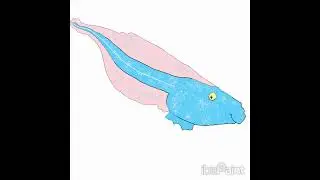 Happy Pride Day 16!This little tadpole is a reminder that nobody knows you better than you do #pride