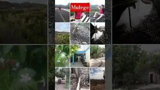 Resumen Mulege Mexico #naturaleza #travel #nature