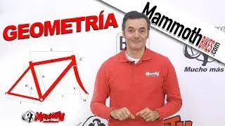 Qué es la geometría de una bicicleta